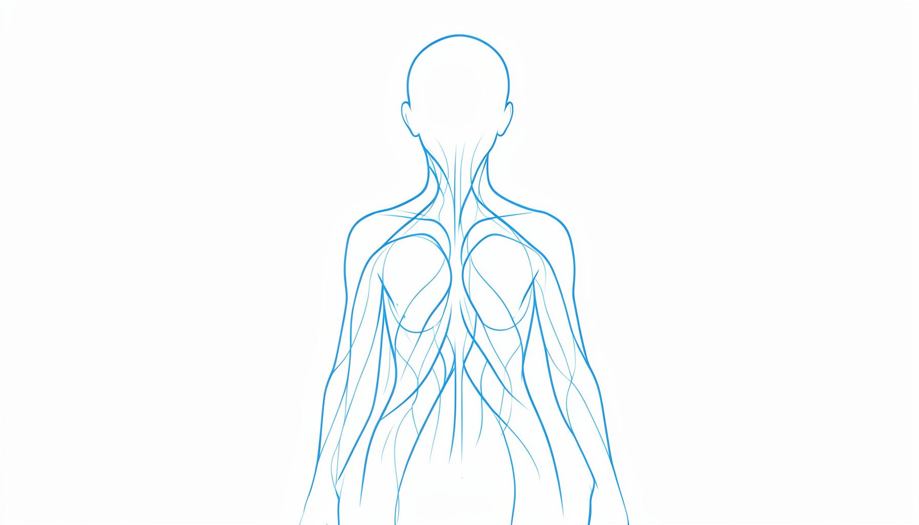 A minimal line drawing of flowing energy channels through a human silhouette, rendered in soft blue ink on a pale background, evoking calm and introspection.